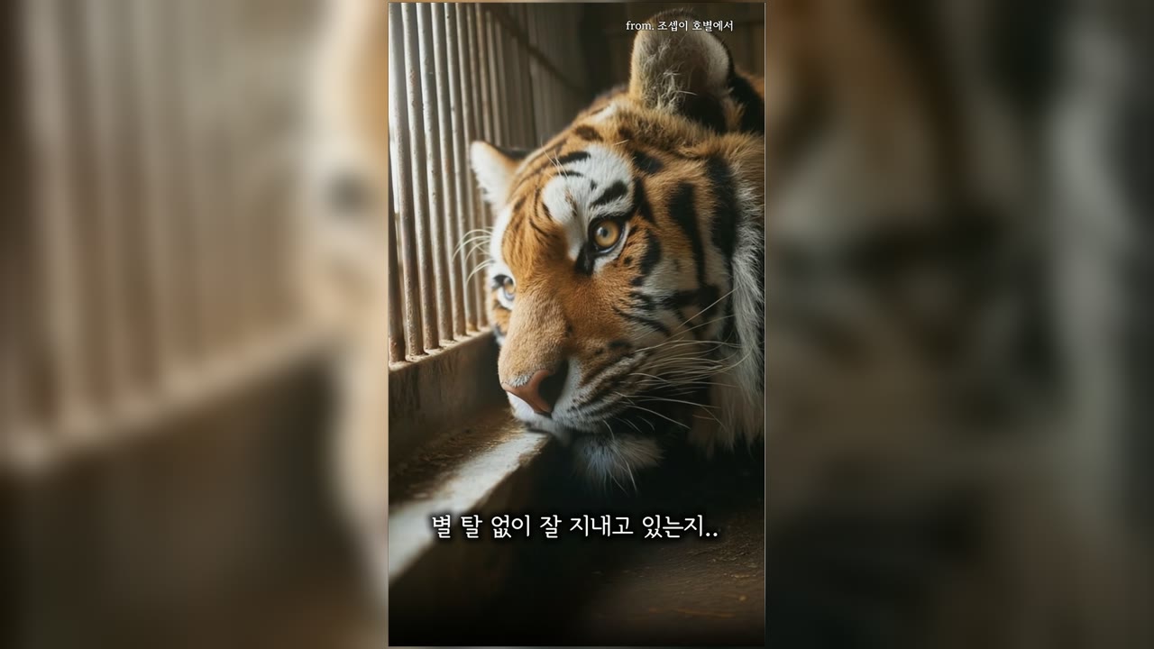 루앙데이 포트폴리오 작업 06